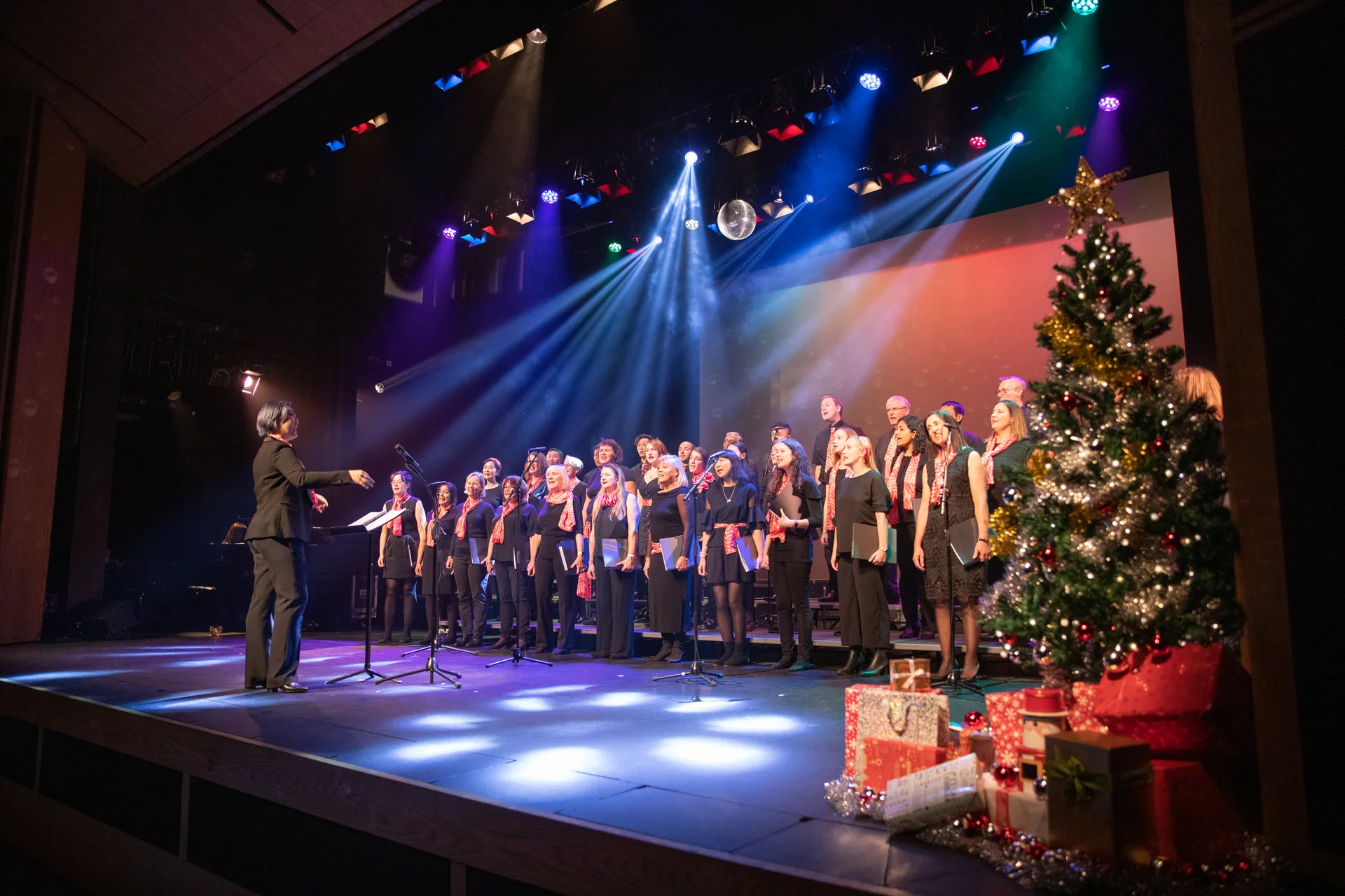 Portfolio hero background